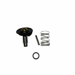 Kit Membrane 6213 FKM