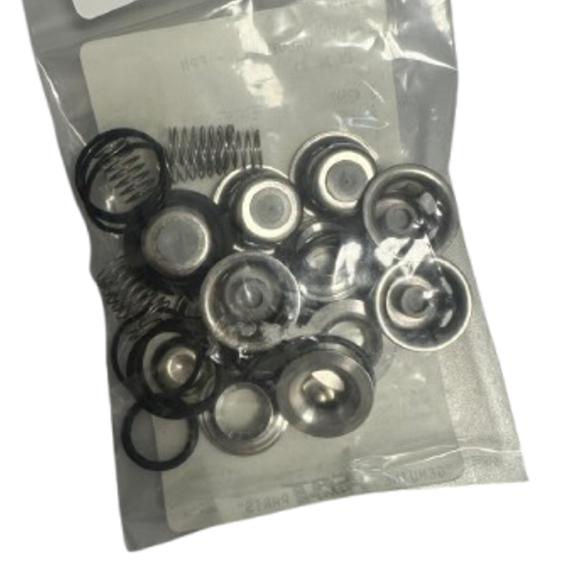 kit valve cat pump 270